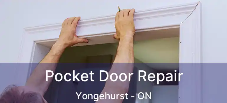  Pocket Door Repair Yongehurst - ON