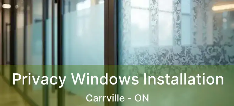  Privacy Windows Installation Carrville - ON