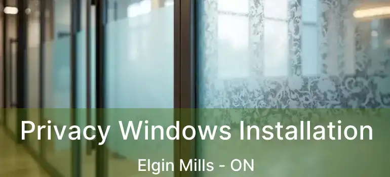  Privacy Windows Installation Elgin Mills - ON