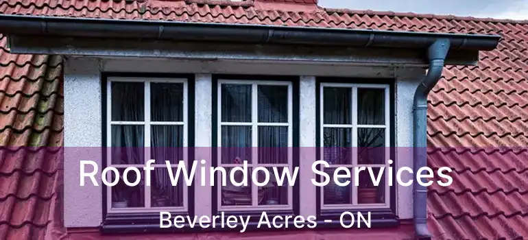  Roof Window Services Beverley Acres - ON