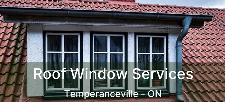  Roof Window Services Temperanceville - ON