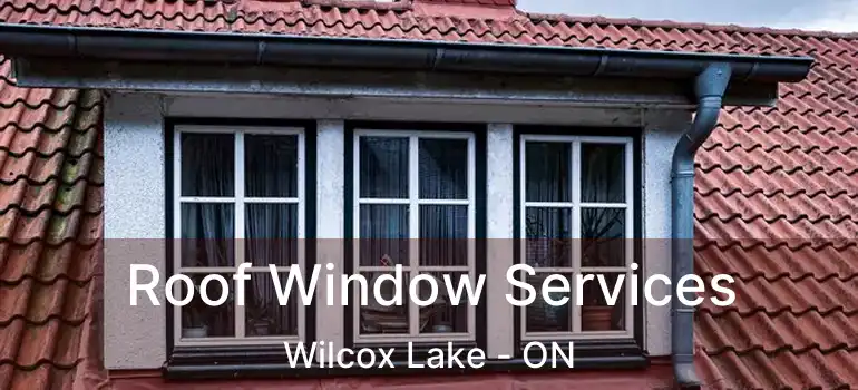  Roof Window Services Wilcox Lake - ON