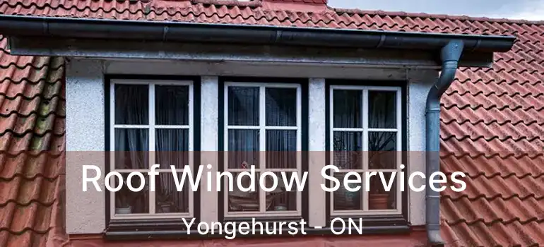  Roof Window Services Yongehurst - ON