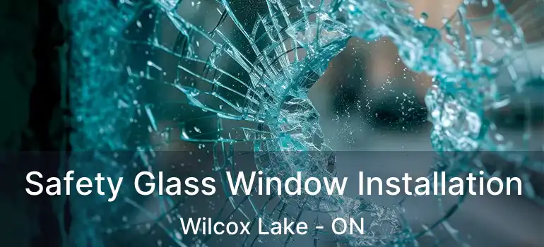  Safety Glass Window Installation Wilcox Lake - ON