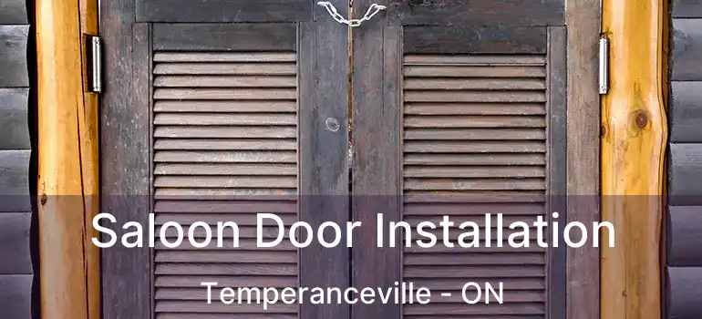  Saloon Door Installation Temperanceville - ON