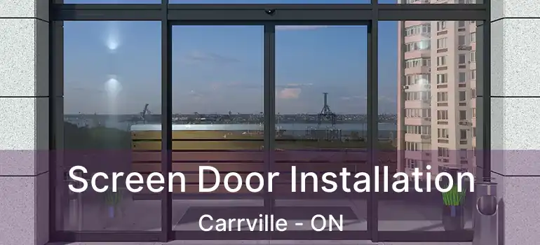  Screen Door Installation Carrville - ON