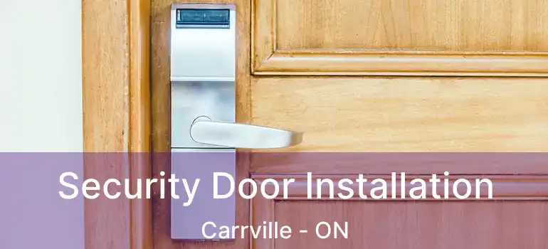  Security Door Installation Carrville - ON
