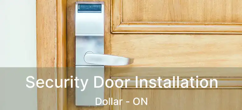  Security Door Installation Dollar - ON