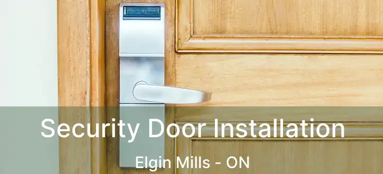  Security Door Installation Elgin Mills - ON
