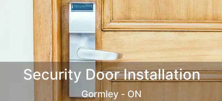  Security Door Installation Gormley - ON