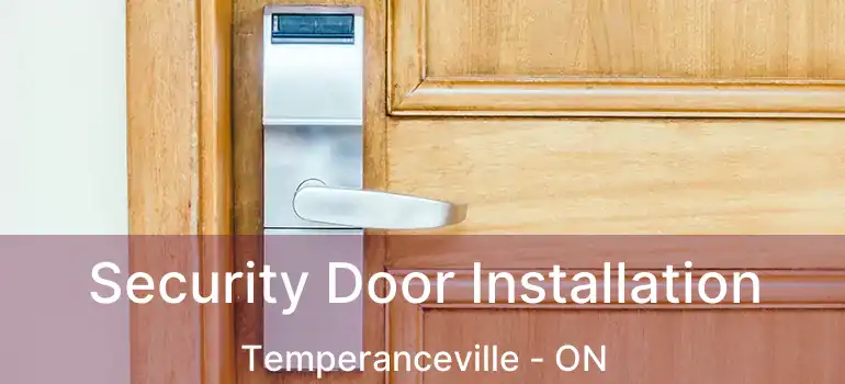  Security Door Installation Temperanceville - ON