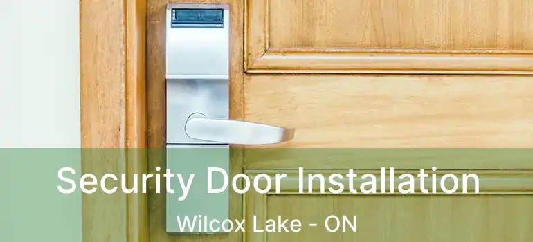  Security Door Installation Wilcox Lake - ON