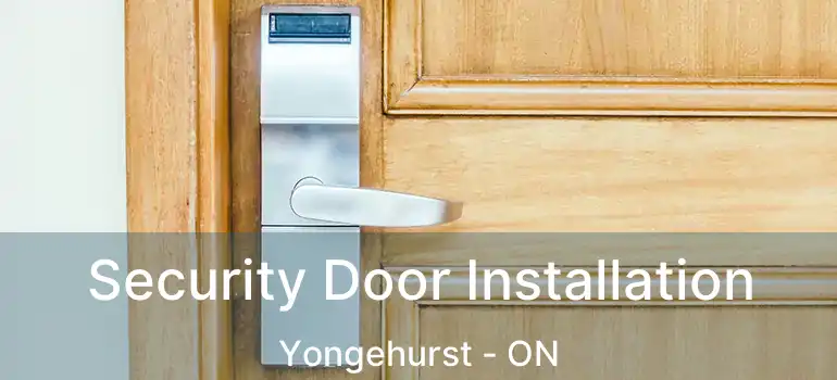  Security Door Installation Yongehurst - ON