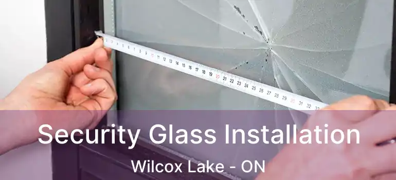  Security Glass Installation Wilcox Lake - ON