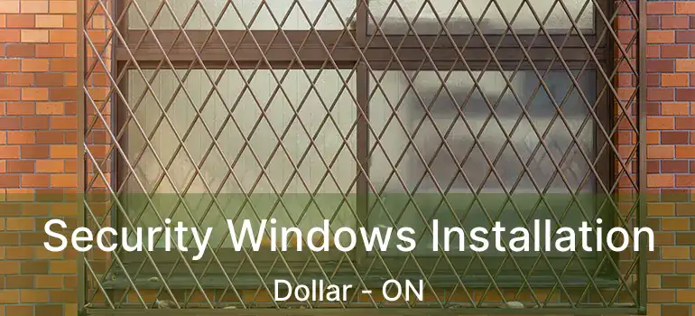  Security Windows Installation Dollar - ON