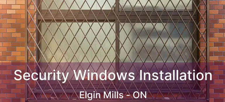  Security Windows Installation Elgin Mills - ON