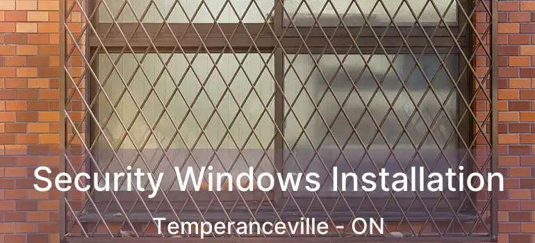  Security Windows Installation Temperanceville - ON