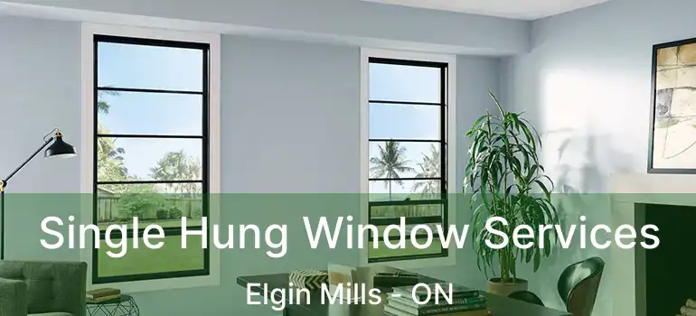  Single Hung Window Services Elgin Mills - ON