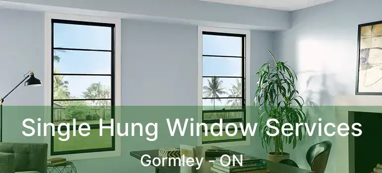  Single Hung Window Services Gormley - ON