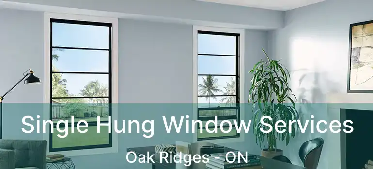 Single Hung Window Services Oak Ridges - ON