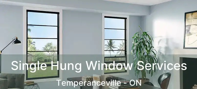  Single Hung Window Services Temperanceville - ON