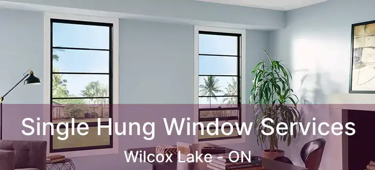  Single Hung Window Services Wilcox Lake - ON