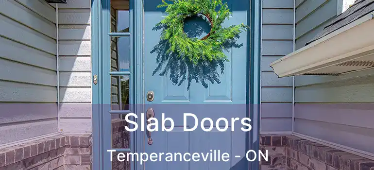  Slab Doors Temperanceville - ON