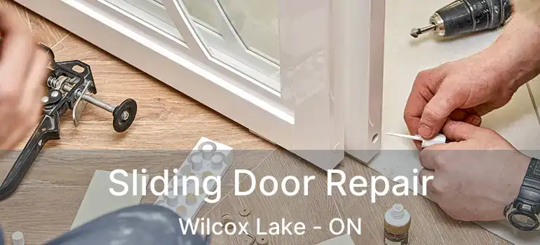  Sliding Door Repair Wilcox Lake - ON