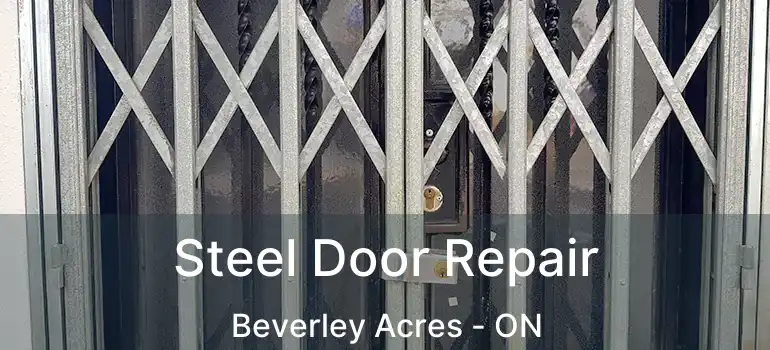  Steel Door Repair Beverley Acres - ON