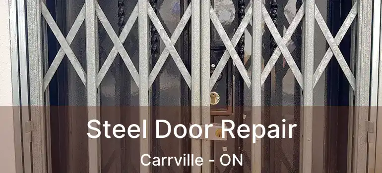  Steel Door Repair Carrville - ON