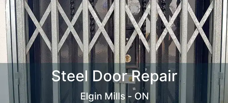  Steel Door Repair Elgin Mills - ON