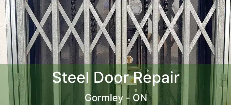  Steel Door Repair Gormley - ON