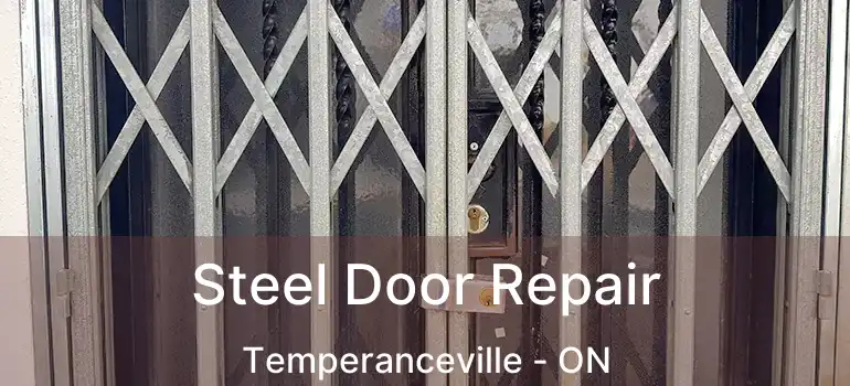  Steel Door Repair Temperanceville - ON