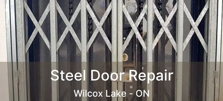  Steel Door Repair Wilcox Lake - ON