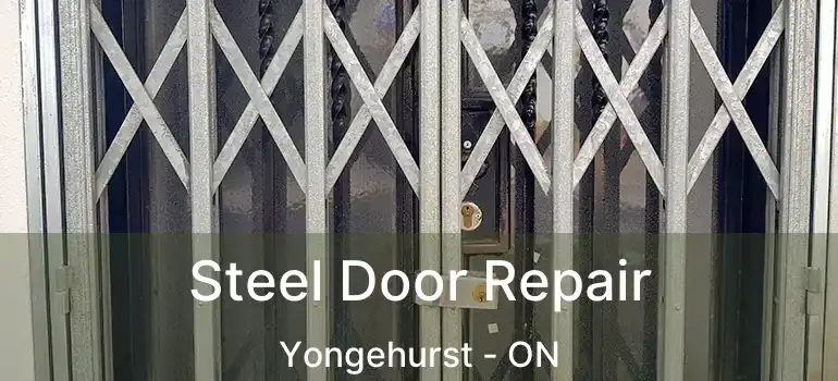  Steel Door Repair Yongehurst - ON