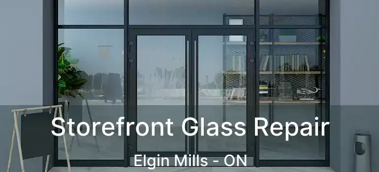  Storefront Glass Repair Elgin Mills - ON