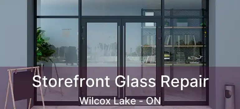  Storefront Glass Repair Wilcox Lake - ON