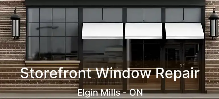  Storefront Window Repair Elgin Mills - ON