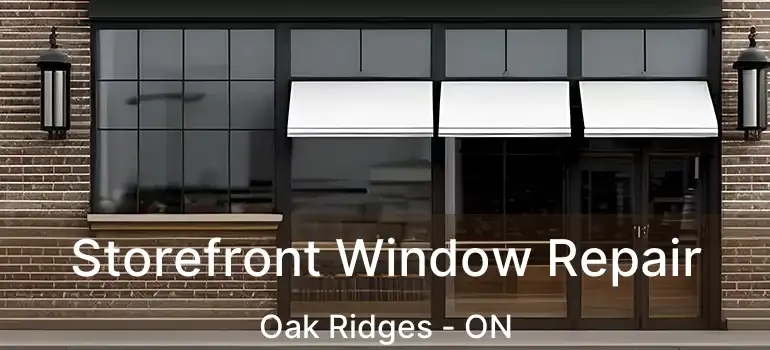  Storefront Window Repair Oak Ridges - ON