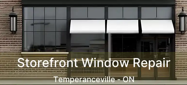  Storefront Window Repair Temperanceville - ON