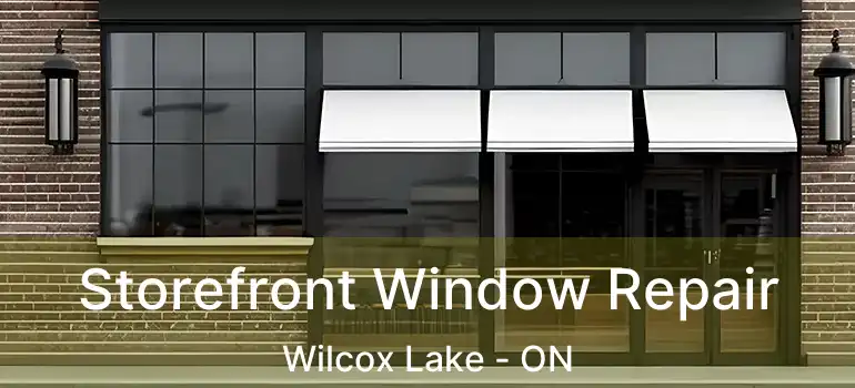  Storefront Window Repair Wilcox Lake - ON