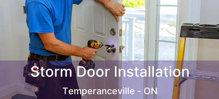  Storm Door Installation Temperanceville - ON
