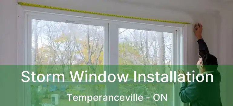  Storm Window Installation Temperanceville - ON