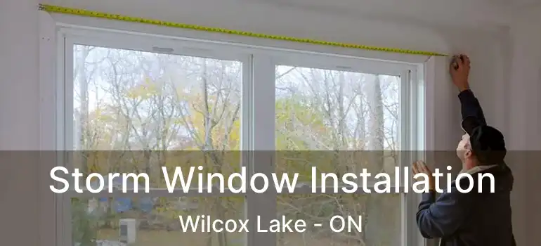  Storm Window Installation Wilcox Lake - ON