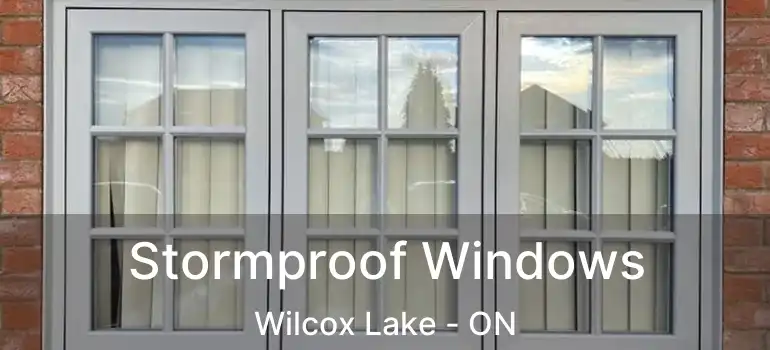  Stormproof Windows Wilcox Lake - ON