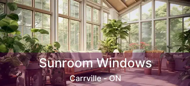  Sunroom Windows Carrville - ON
