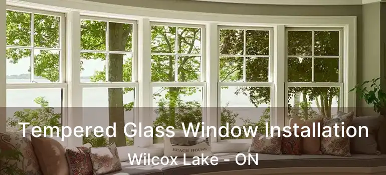  Tempered Glass Window Installation Wilcox Lake - ON