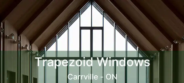  Trapezoid Windows Carrville - ON