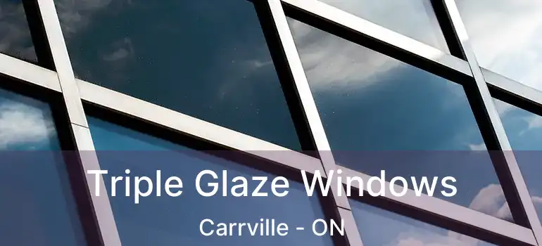  Triple Glaze Windows Carrville - ON