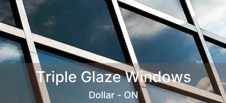  Triple Glaze Windows Dollar - ON